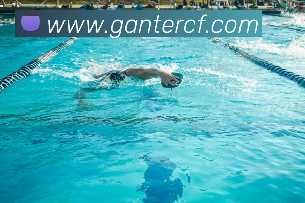 多媒体互动体验